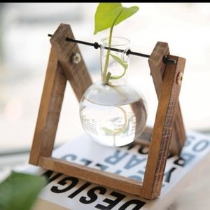 Floating Propagation Vase w/ Plant Cutting